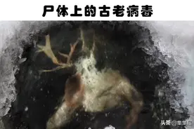 冰层里真的发现了外星人吗？盘点人们在冰里的7个奇怪发现图片