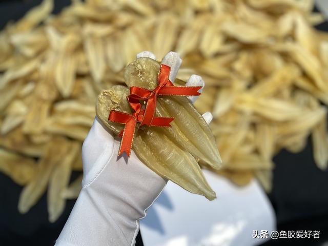 鲜的鱼胶怎么做比较好 2026年鲜的鱼胶怎么做比较好吃又简单