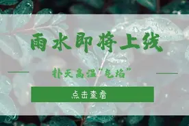 明日闷热+阵雨相继来袭，注意防范！图片
