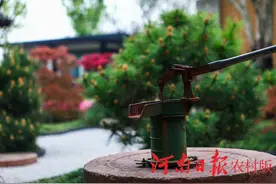 看了彭家湾的院子，才是想过的日子图片