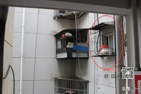 因为一个疏忽，女子洗澡被男邻居多次偷拍！十堰警方出手了！图片