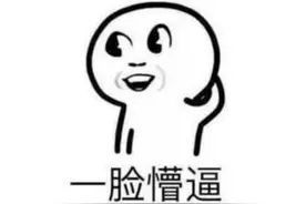 波兰蠢驴这么赚钱？公司市值猛增至473亿，比国家银行还有钱图片
