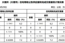 大数据！一季度大理市共16个项目在建设，其中6个项目还未动工图片