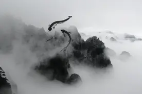 情至深处是无情图片
