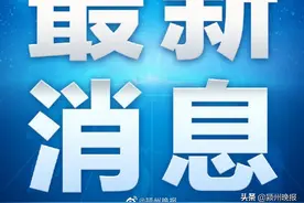 阜阳一女子因公交车紧急刹车而摔倒受伤！法院：公交公司须担责，赔偿2.4万元图片