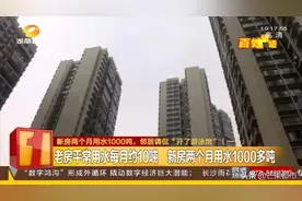 新房两个月用水1000吨！邻居调侃“开了游泳馆”图片