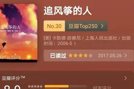 美国畅销书《追风筝的人》读后感——解读悲剧性人物:哈桑图片