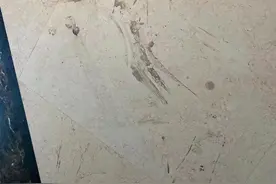 比吸尘器和扫地机器人都好用！滴水洗地机入手体验图片