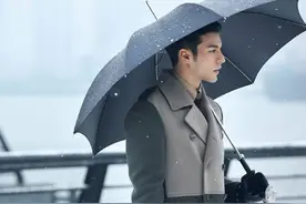 雨伞摘要改成：这些"伞中贵族"，光是看看都养眼图片