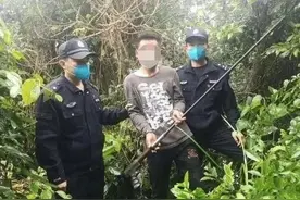 【战疫说法20】老鹰也敢猎杀？听说吃了补“脑壳”呀！结果等来了……图片