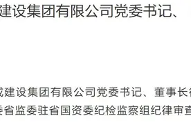 浙江大成建设集团有限公司董事长徐伟被查：涉严重违纪违法图片