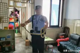 小青“赖”在居民家不走 民警徒手擒获“请”出门图片