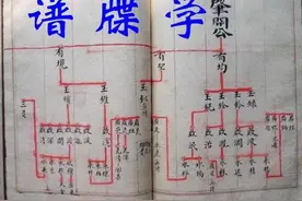 修谱乱象之有关“卒”的用词图片