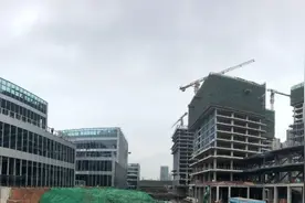 期待！新区首个集中式产业生态主题园已全面呈现图片