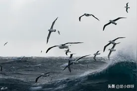 大海像一面镜子，风吹过来了，这面镜子破碎，打破了宁静的天空图片