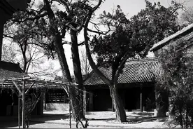 仙台村中探古寺图片