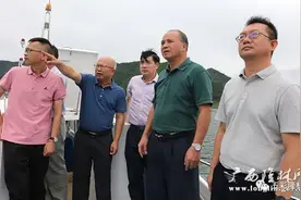 张启胜率队到天生桥镇开展环境整治督查指导工作图片