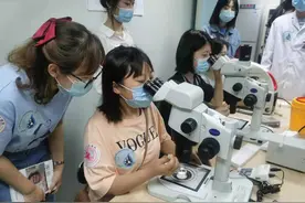 做“试管婴儿”需要几个步骤？小鼠实验告诉你图片