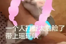 峡谷瑶妹绝配英雄，与梦奇结合盾盾流，还是澜越塔最好搭档图片