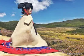 高山杜鹃花盛开，彝哥美声云天外图片