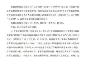 子公司银湖网涉“三宗罪”，熊猫金控收警示函图片