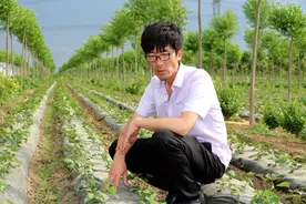 山东28岁大学硕士返乡创业做养殖，一只鸡可卖到上千元，直言：我感觉前途一片光明图片