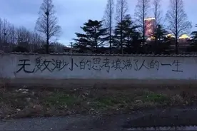 Xgboost简易入门教程图片