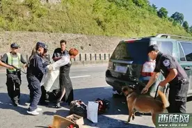 刑满释放的老汉娶个妻判了“无期”图片