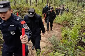 平南思旺：男子上坟祭祖引发火灾被警方控制图片