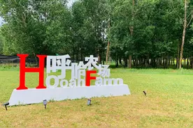 武川县~呼哈农场，遛娃好去处图片
