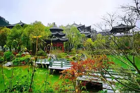 叶家畈传奇图片