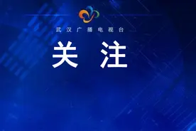 王忠林调研东风公司：全力支持企业在汉做大做强图片