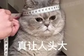 「收藏！七夕礼物指南」500元预算，上千元体验（女生篇）图片
