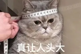「收藏！七夕礼物指南」500元预算，上千元体验（女生篇）图片