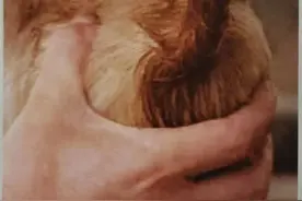 牛放线菌病图片