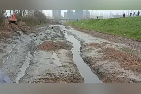 咸宁河道清污，居民下河抓起许多河鱼，网友质疑：这鱼能吃？图片