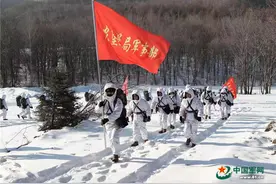 穿林海、跨雪原，看他们在千里沃野锤炼实战硬功图片