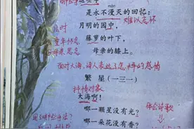人教版语文四年级下册第九课至第十二课随堂笔记，给孩子收藏图片