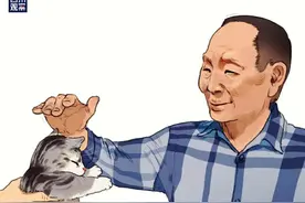 袁隆平爷爷去世，全国人民为这只小奶猫操碎了心…图片