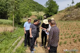 勉县定军山镇强化自然资源管理 规范土地使用秩序图片