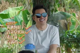 ​《向往的生活》变广告的生活，赚口粮变明星农家乐，嘉宾带不动图片