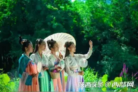 西安这家“荷塘”免费预约了！丨西安周边赏荷攻略送上图片