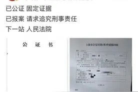 朱婷报案请求追究造谣者刑事责任 律师解答何为“告诉才处理”图片