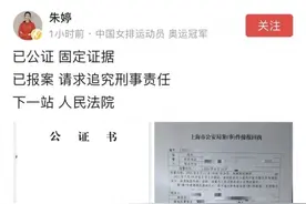 朱婷报案请求追究造谣者刑事责任 律师解答何为“告诉才处理”图片