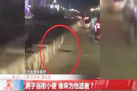 停车等红灯 男子下车当街小便 谁来为他遮羞？视频封面