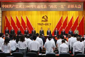通化县召开“两优一先”表彰大会图片