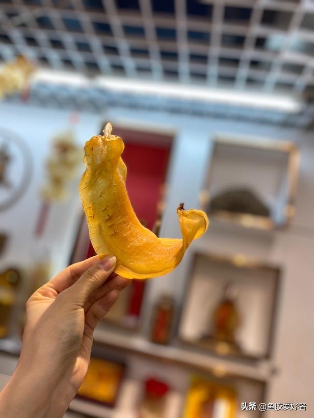 本港赤嘴和大耳赤嘴哪个好 2026年大口赤嘴和本港赤嘴哪个好
