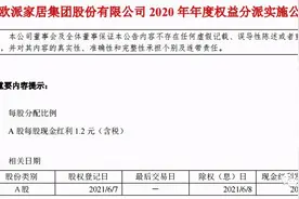 25%关店率的欧派又分红了7.25亿图片