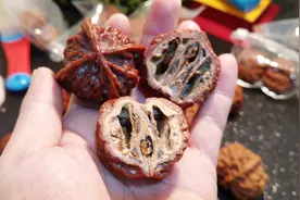 工艺品拼接的三棱、四棱文玩核桃真的不能玩