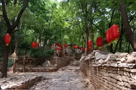 山东一座古村被红高粱带火，情侣们慕名而来，只怪千年老树太灵验图片